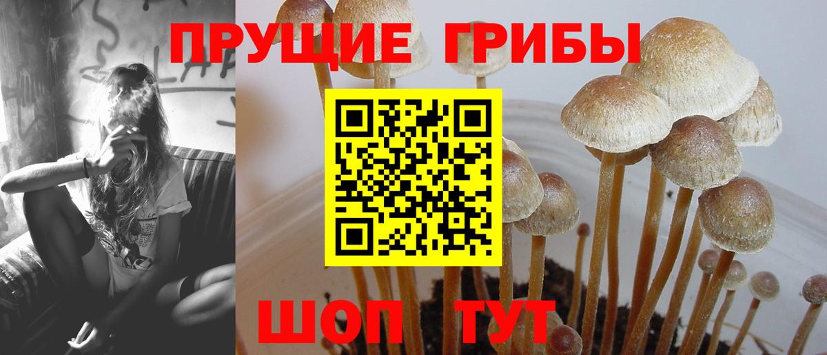 Псилоцибиновые грибы MAGIC MUSHROOMS Норильск